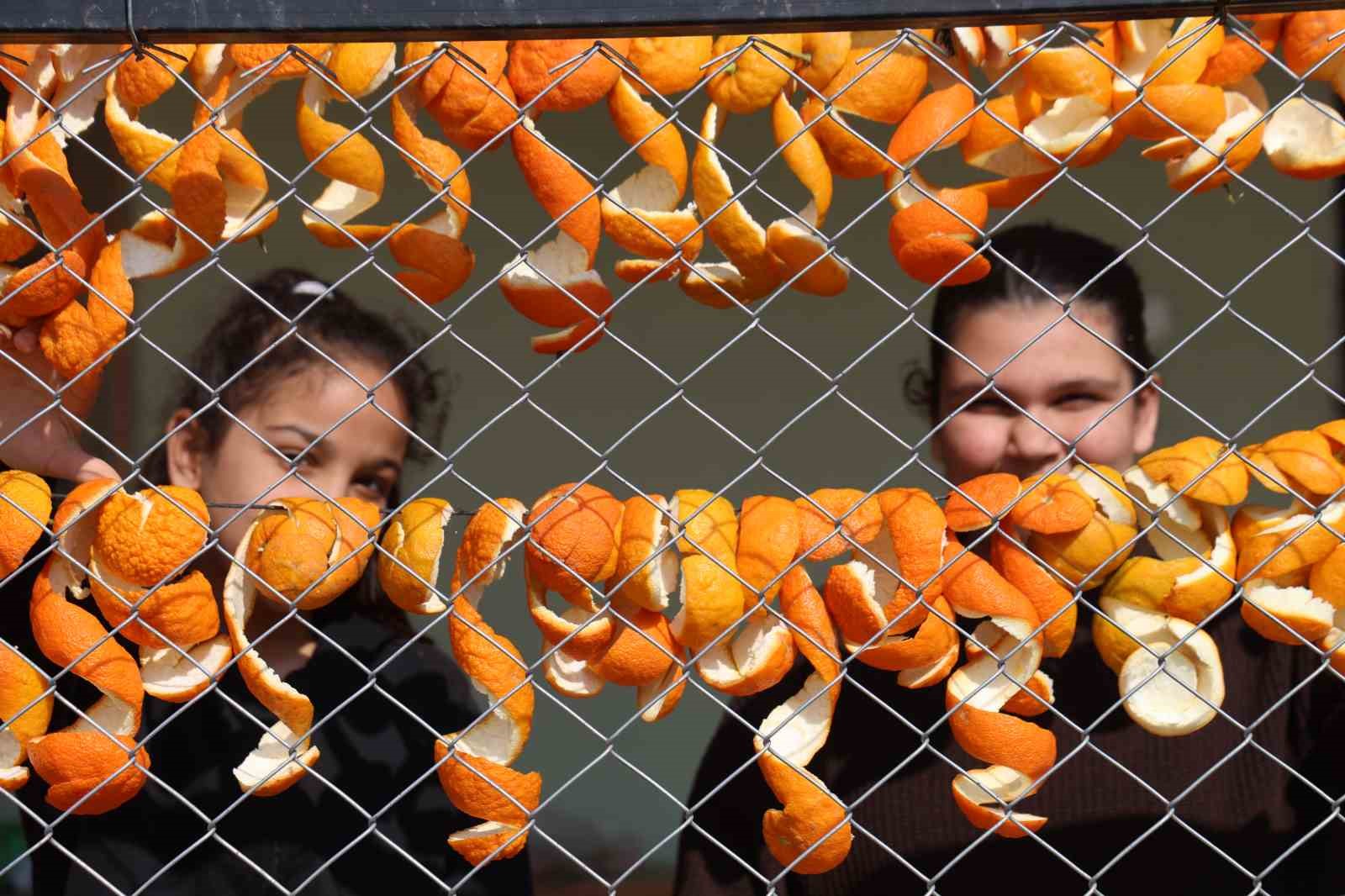 Limon ve turunç kabukları kadınların elinde değerleniyor
