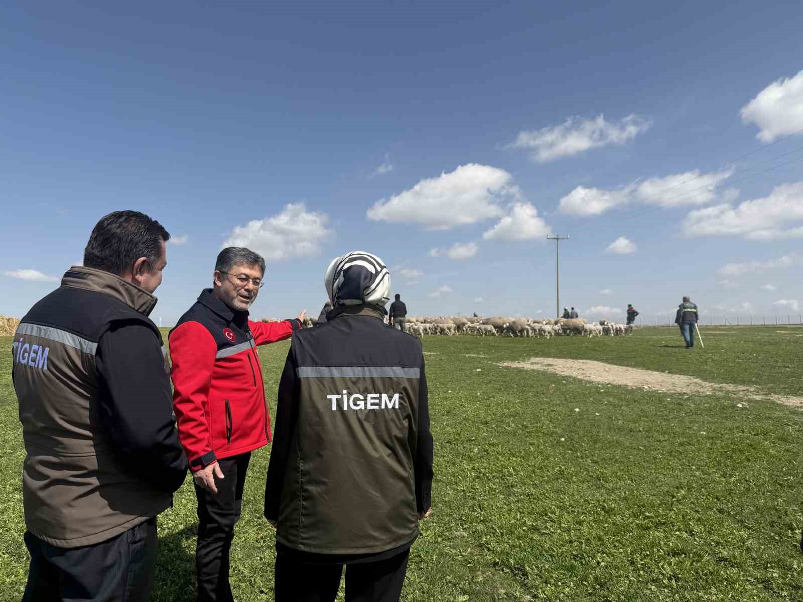 Bakan Yumaklı: (Kırsalda Bereket Küçükbaşa Destek Projesi) "En iyi ırkın oluşturulması için çalışılmış sürülerden verilecek"
