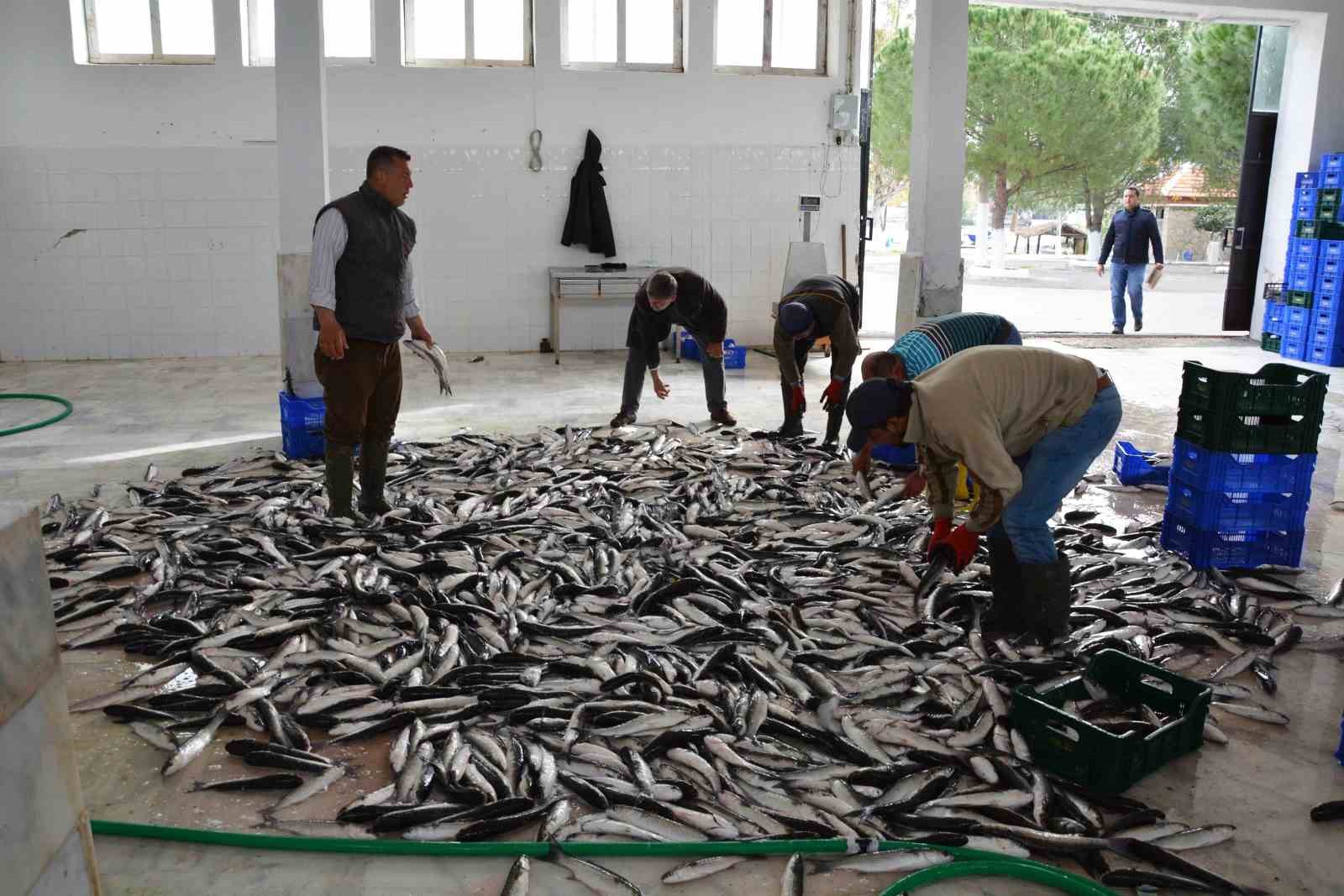 Muğla ihracatta Ege Bölgesi’nde 4’üncü il
