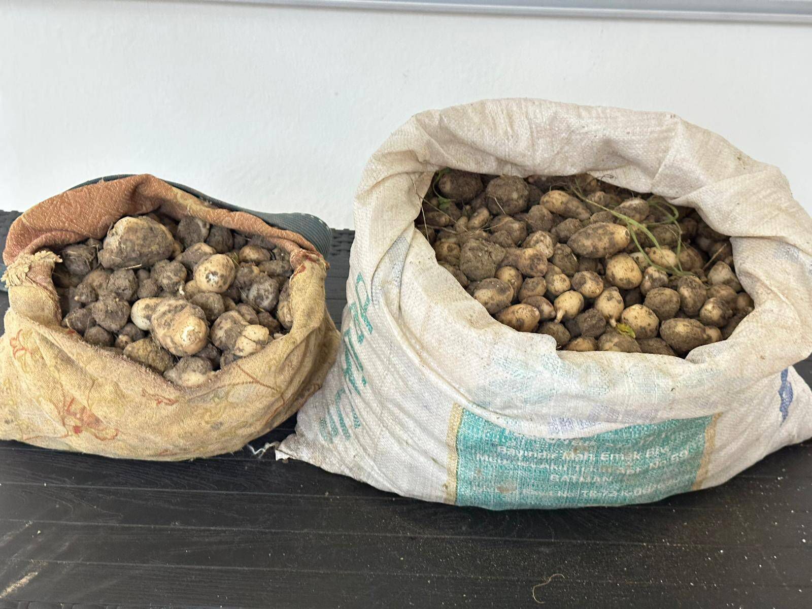 Tunceli’de izinsiz 31 kilo salep yumrusu toplayan 3 kişiye 2 milyon TL ceza