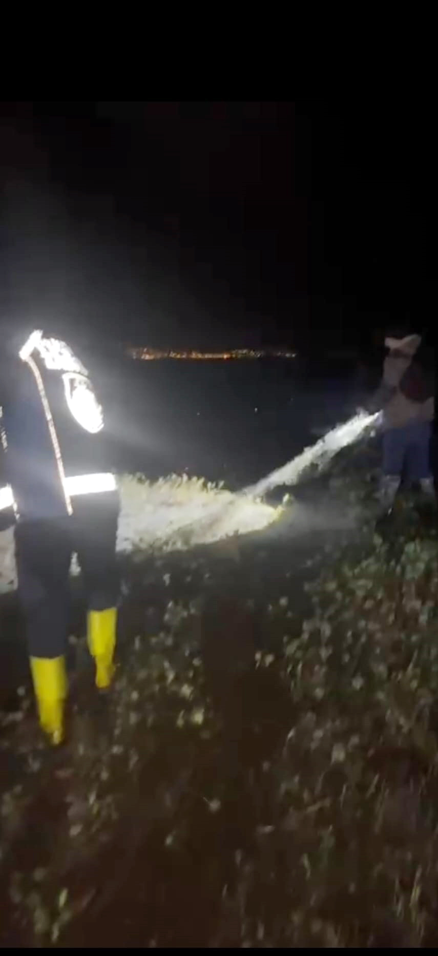 Van Gölü'nde kaçak avlanan 400 kilo inci kefali suya bırakıldı