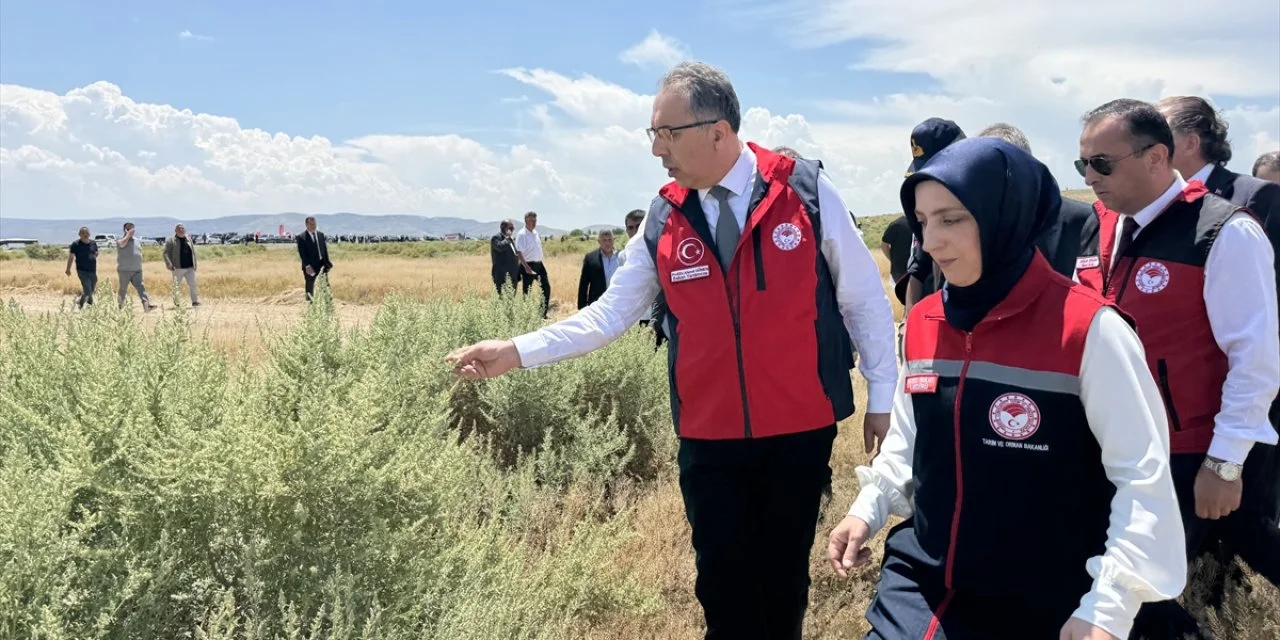 Selçuk Üniversitesi danışmanlığındaki projeyle bin 730 dekar mera üretime kazandırıldı.